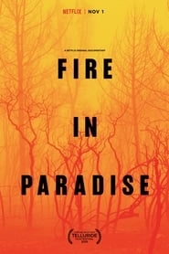 Fire in Paradise hd