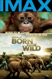 Born to Be Wild hd