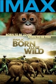 Born to Be Wild HD