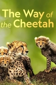 The Way of the Cheetah HD