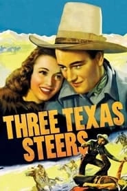 Three Texas Steers hd