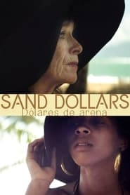 Sand Dollars hd