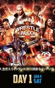 NJPW Wrestle Kingdom 14: Night 1 HD