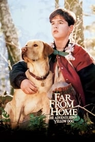 Far from Home: The Adventures of Yellow Dog hd
