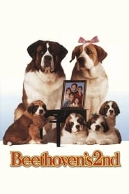 Beethoven's 2nd hd
