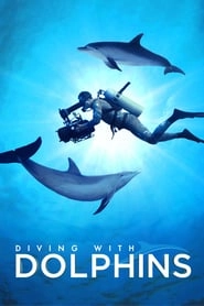Diving with Dolphins hd