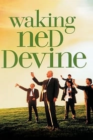 Waking Ned HD