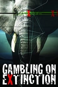 Gambling on Extinction HD