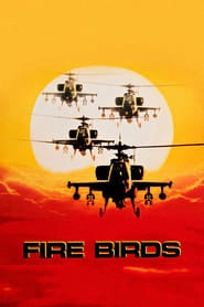 Fire Birds hd