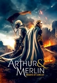 Arthur & Merlin: Knights of Camelot hd