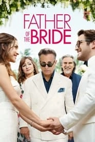 Father of the Bride hd