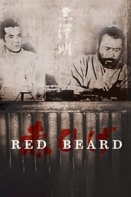 Red Beard hd