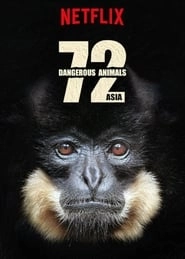 72 Dangerous Animals: Asia hd
