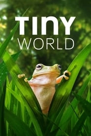 Tiny World hd
