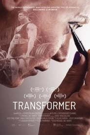 Transformer hd