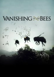 Vanishing of the Bees hd