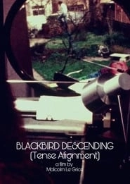 Blackbird Descending - Tense Alignment HD