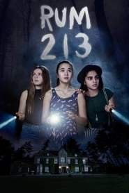 Room 213 hd