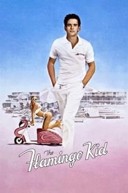 The Flamingo Kid HD