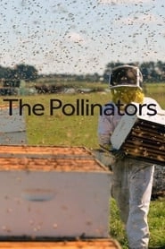 The Pollinators hd