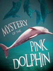 The Mystery of the Pink Dolphin HD