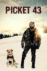 Picket 43 hd