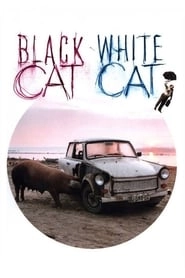 Black Cat, White Cat hd