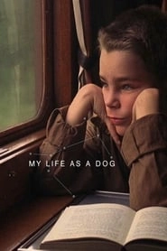 My Life as a Dog hd