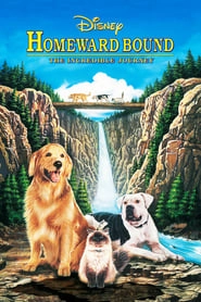 Homeward Bound: The Incredible Journey hd