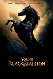 Young Black Stallion hd