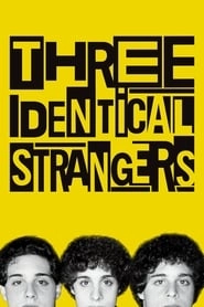 Three Identical Strangers hd