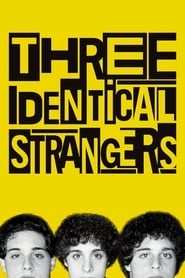 Three Identical Strangers HD