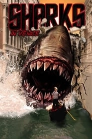 Shark in Venice hd