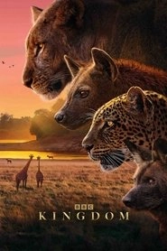 Watch Kingdom
