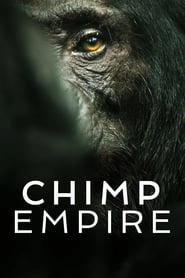 Chimp Empire hd