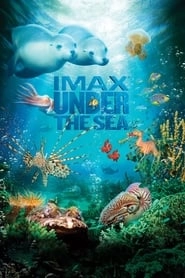 Under the Sea 3D HD