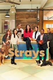 Strays hd