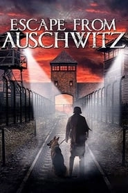 The Escape from Auschwitz hd