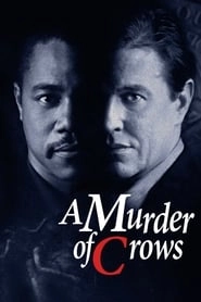 A Murder of Crows HD