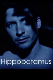 Hippopotamus hd