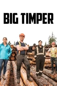 Watch Big Timber