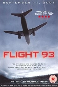 Flight 93 hd