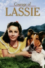 Courage of Lassie hd