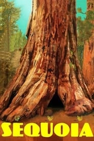 Sequoia hd