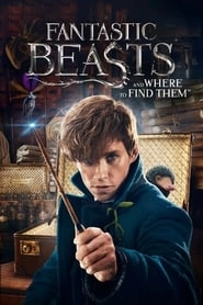 Fantastic Beasts and Where to Find Them hd