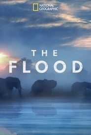 The Flood hd