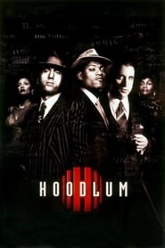 Hoodlum hd