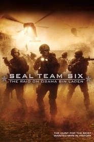 Seal Team Six: The Raid on Osama Bin Laden hd