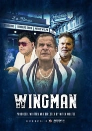 WingMan HD