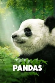 Pandas hd